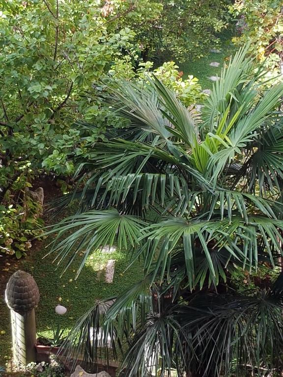 Appartamento Garden Ca' Rezzonico Benátky Exteriér fotografie