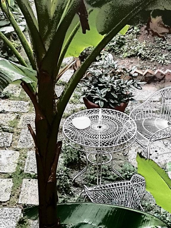 Appartamento Garden Ca' Rezzonico Benátky Exteriér fotografie